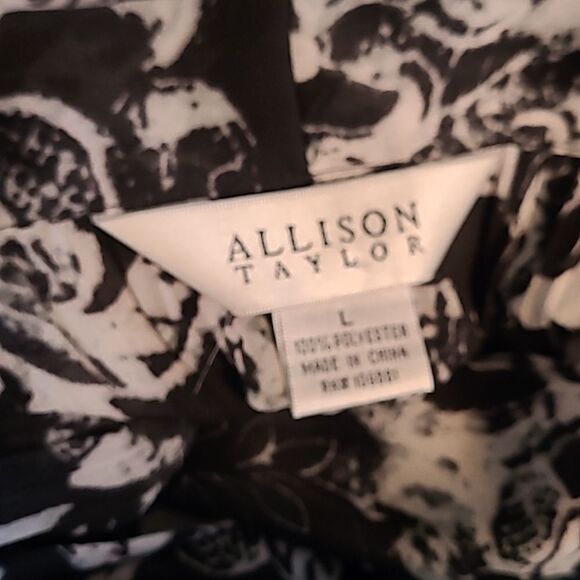 Allison Taylor sz L sheer pleated chiffon 100% polyester - Picture 5 of 13